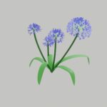 My journey of learning blender